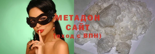 прущие грибы Пестово