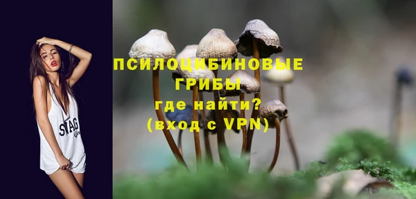 прущие грибы Пестово
