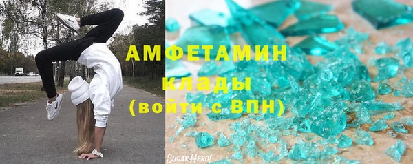 прущие грибы Пестово