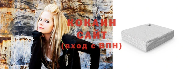 прущие грибы Пестово