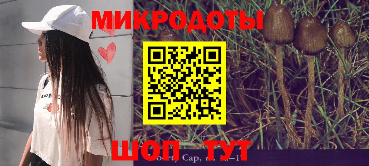 Галлюциногенные грибы Cubensis  где можно купить наркотик  Анапа 